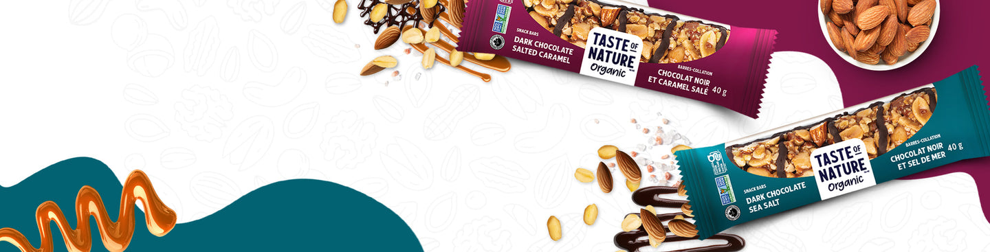 Organic Dark Chocolate Snack Bars